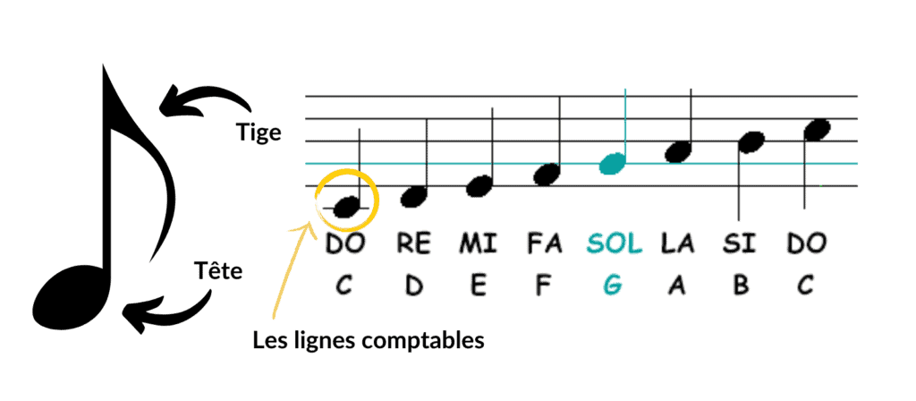 Impara la musica | Piccola ManivellaImpara la musica | Piccola Manivella  